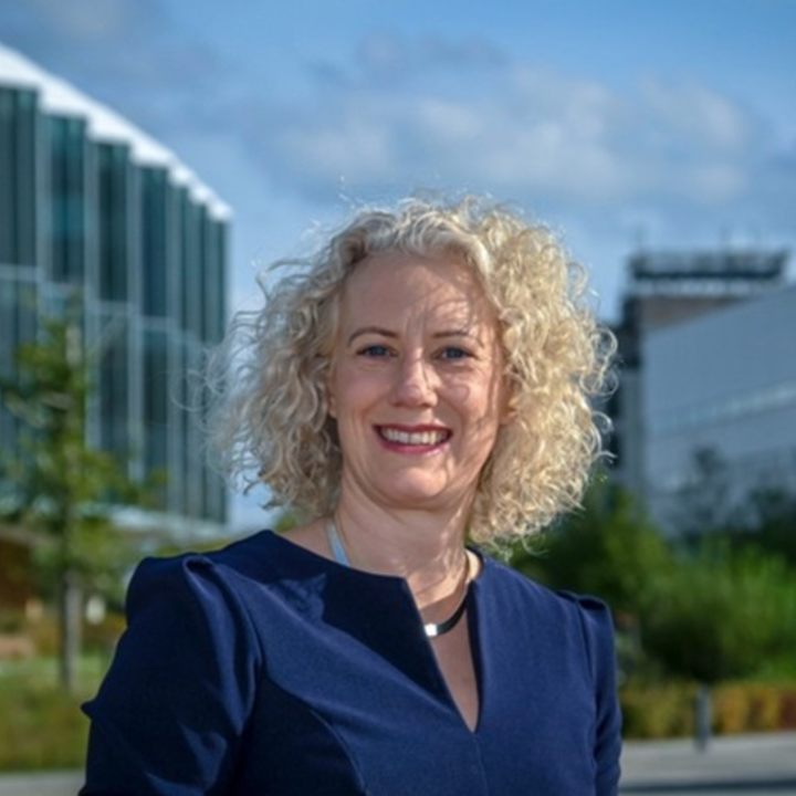 The Swedish Chamber of Commerce