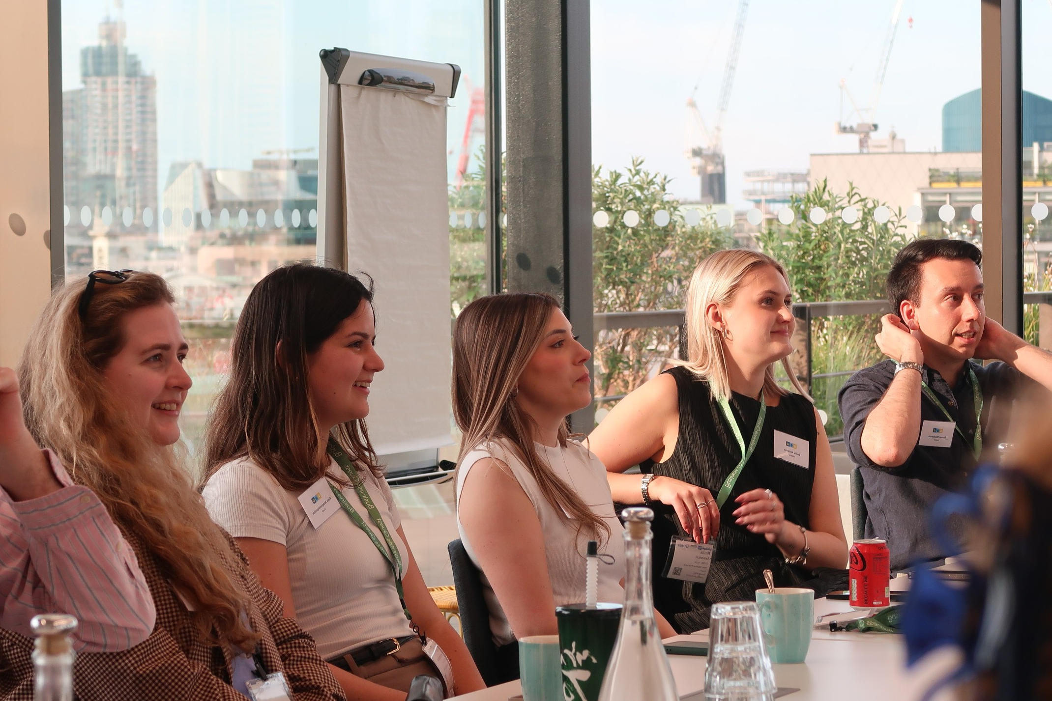 The Young Professionals' Network