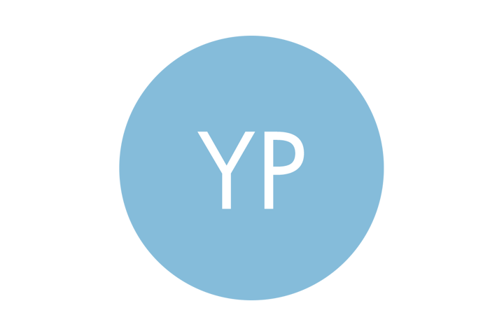 The Young Professionals Working Group