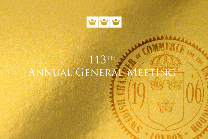 113th Annual General Meeting