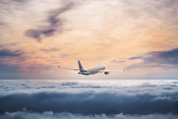 Young Professionals: Business Insights with Scandinavian Airlines